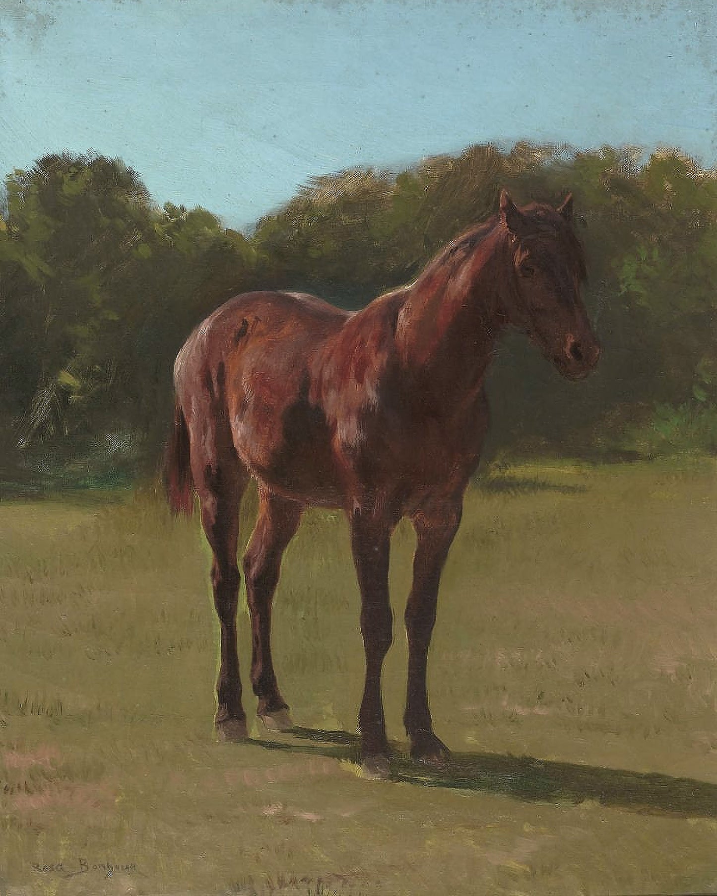 Étude de Cheval Bai - Rosa Bonheur