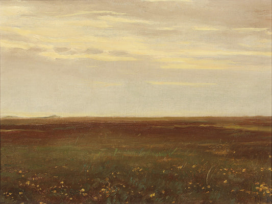 Oil painting of Landskab med Markblomster by Michael Ancher, featuring a wide flat Danish heath stretching to a distant horizon under a vast pale sky with yellow wildflowers in the foreground grass.