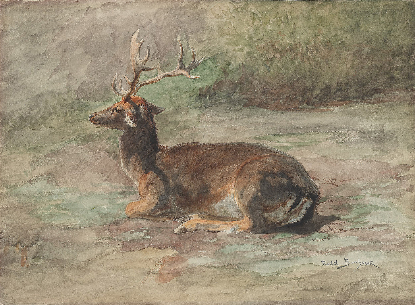 Recumbent Stag - Rosa Bonheur