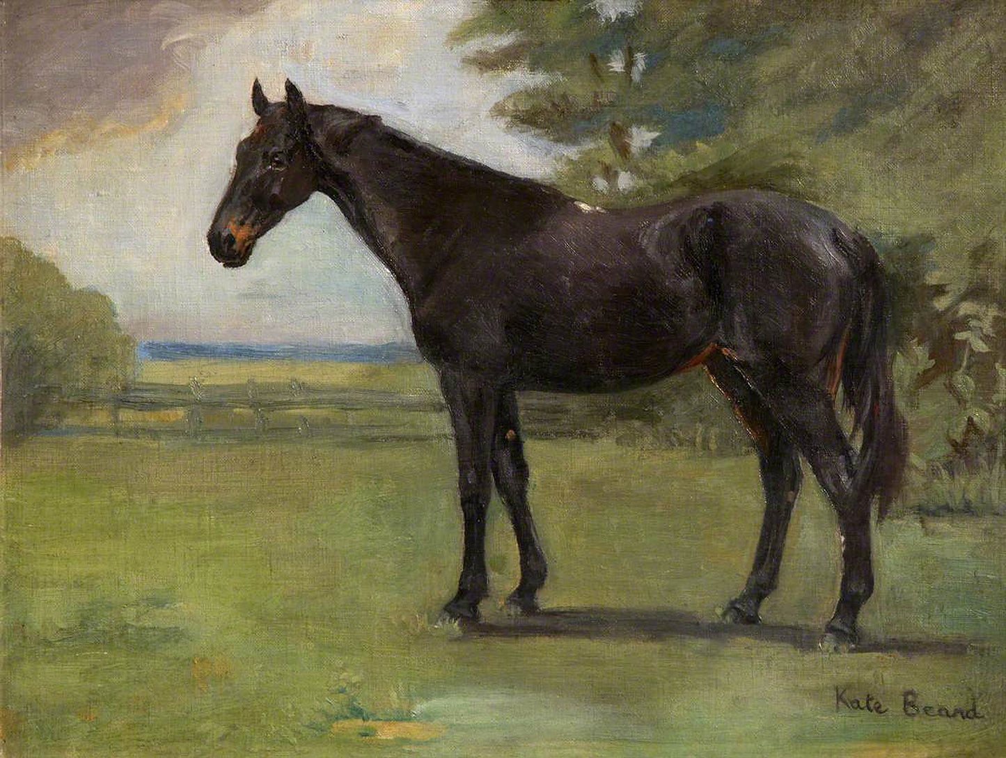 Oil painting of 'Clare', A Dark Bay Horse by Katherine Louisa Beard, featuring a sleek dark bay horse standing in a green paddock with trees and open countryside behind it under a dramatic sky.