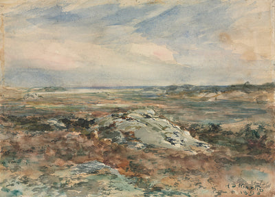 Coastal Landscape