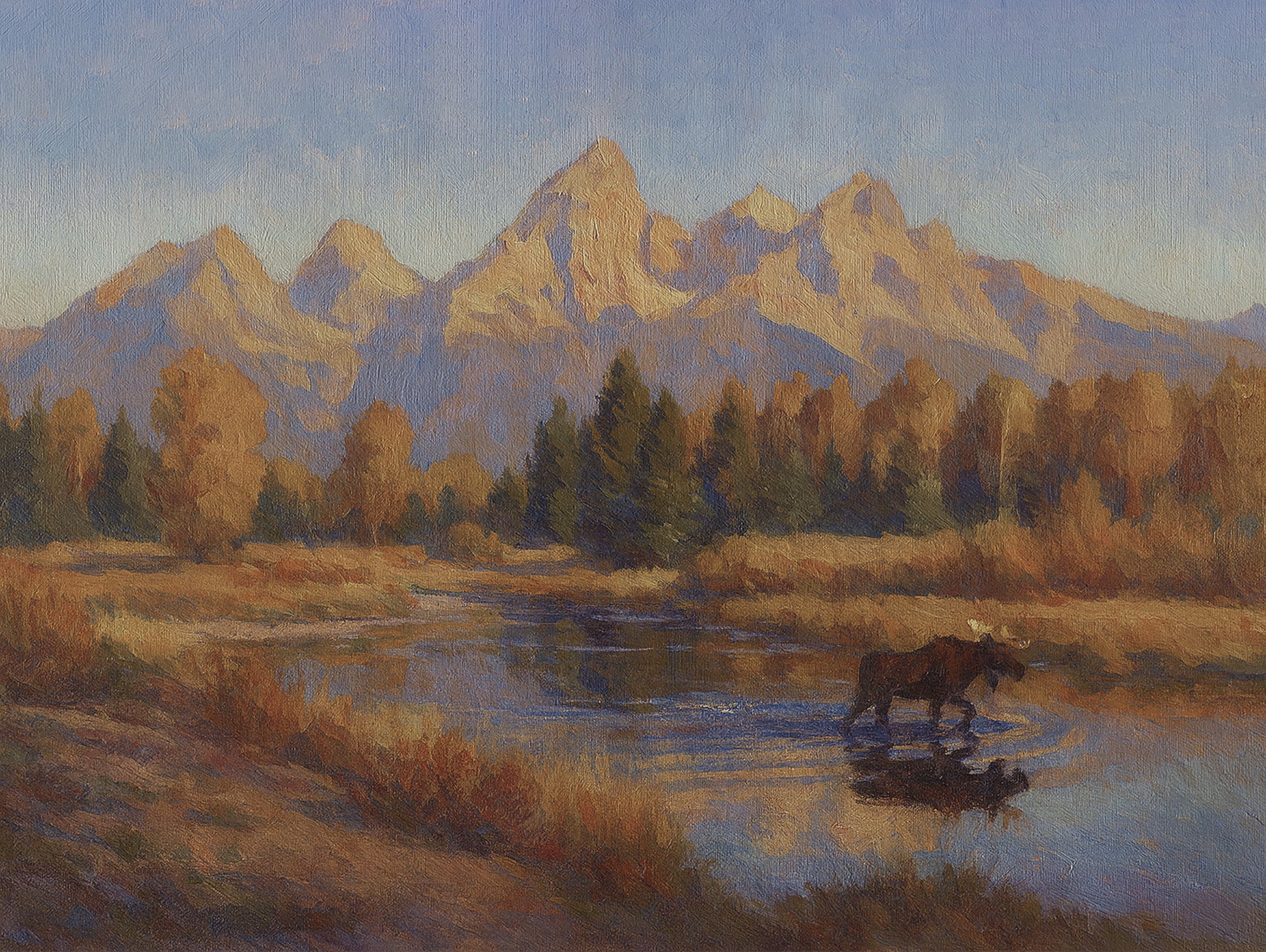 Bull moose wading through a still beaver pond with the Teton Range and autumn cottonwoods reflected in warm golden water.