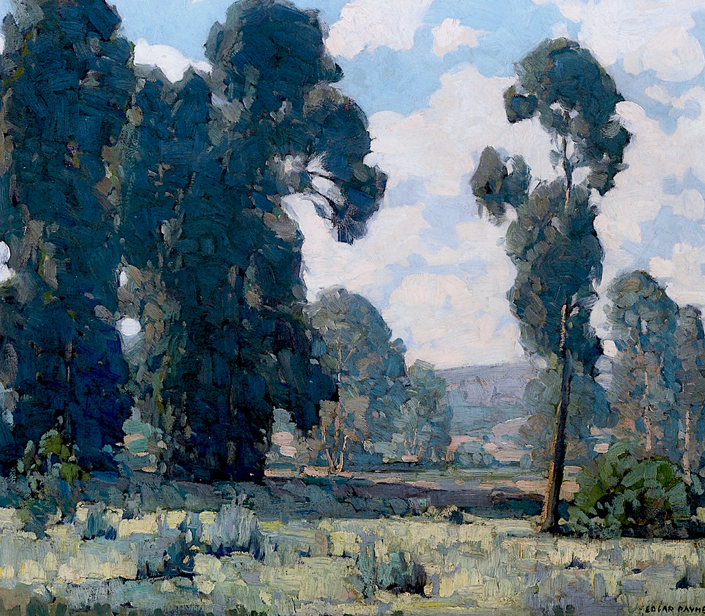 Oil painting of Eucalyptus Trees by Edgar Payne, featuring a stand of tall California eucalyptus trees in deep blue-green filling the canvas above a light meadow with a low hillside in the misty background.