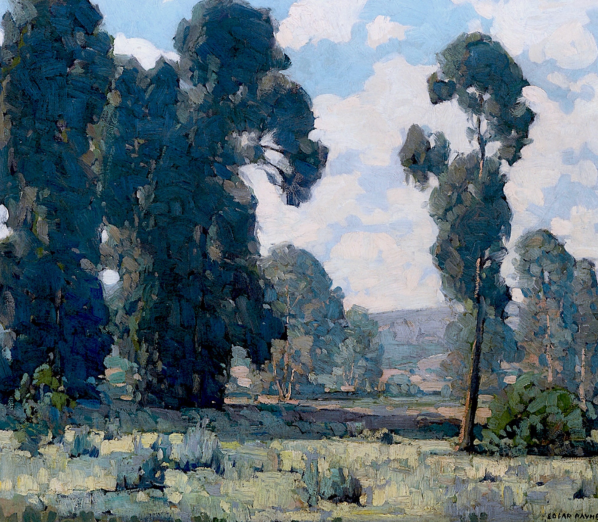 Oil painting of Eucalyptus Trees by Edgar Payne, featuring a stand of tall California eucalyptus trees in deep blue-green filling the canvas above a light meadow with a low hillside in the misty background.