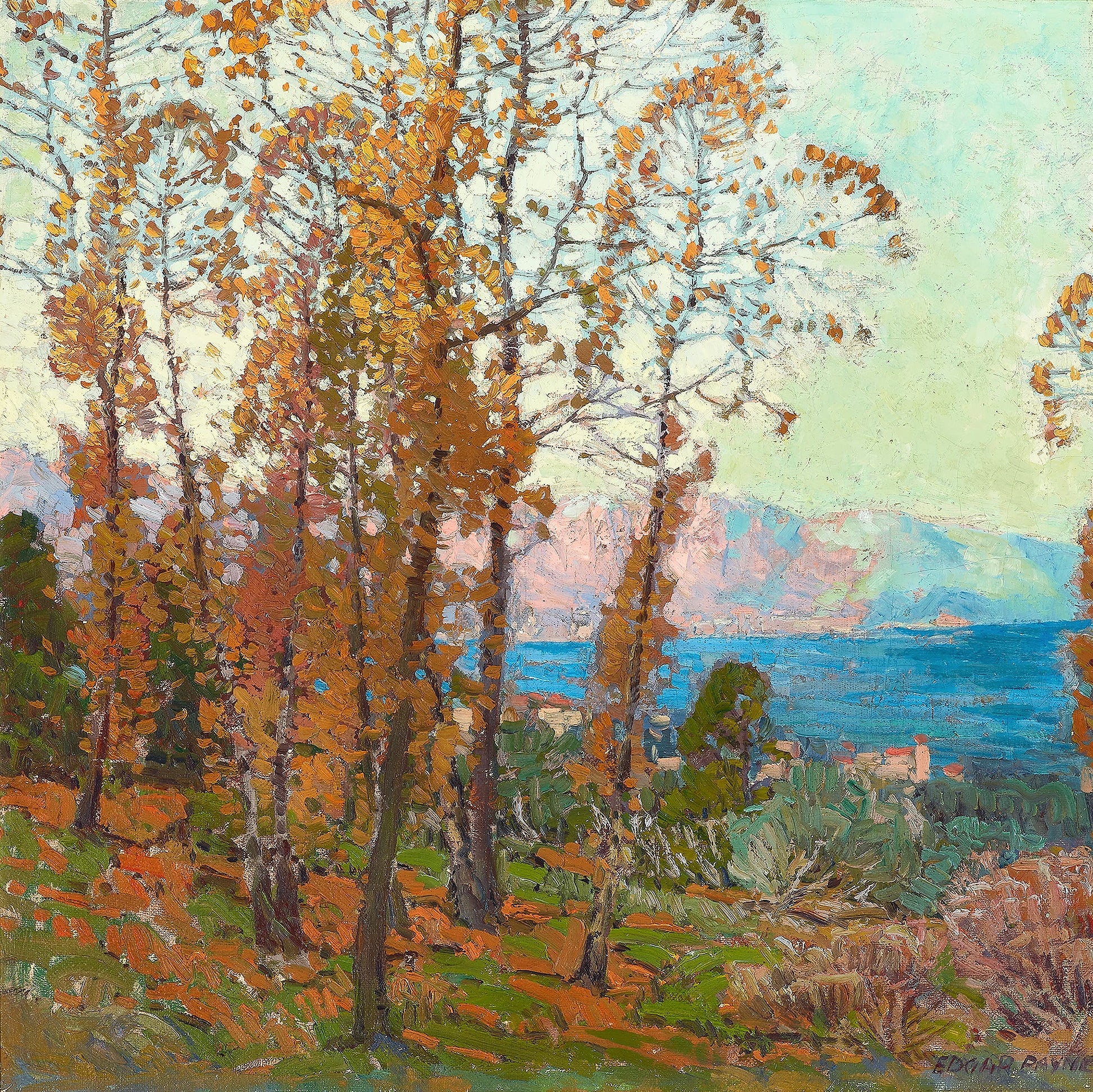 Oil painting of Riviera Autumn Trees by Edgar Payne, featuring golden autumn larches on a hillside above a bright blue Italian Riviera bay with pink mountain peaks and a coastal village between the trunks.