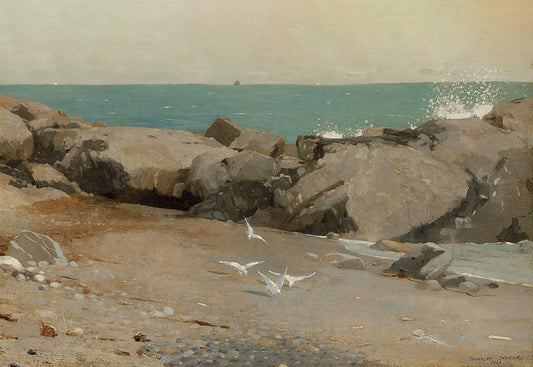 Rocky Coast and Gulls - Winslow Homer